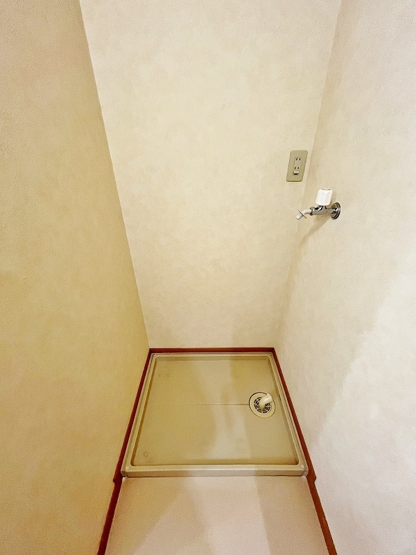 クリスマスローズⅢ その他38