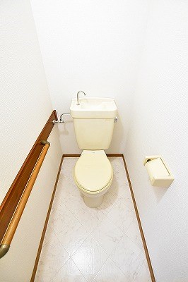 パナハイツカトレア その他4