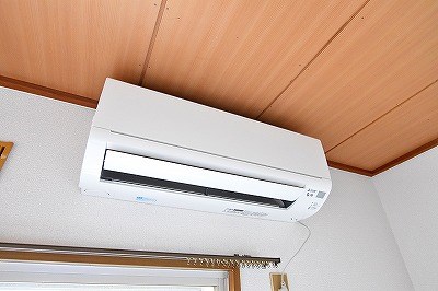 パナハイツカトレア その他5