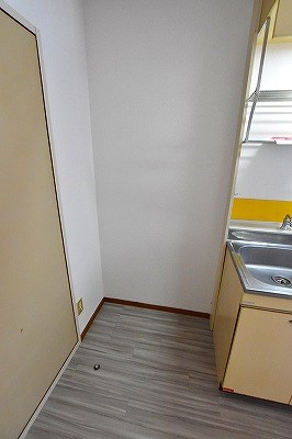 パナハイツカトレア その他7