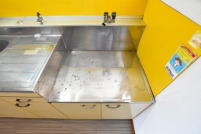 パナハイツカトレア その他8