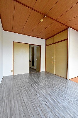 パナハイツカトレア その他11