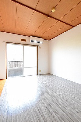 パナハイツカトレア その他13