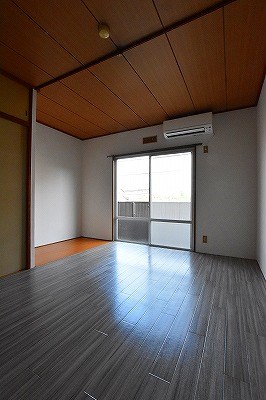 パナハイツカトレア その他14