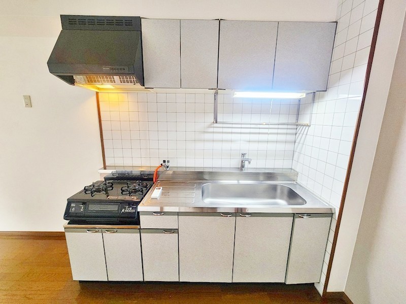 エルフ・フォレスト  その他25