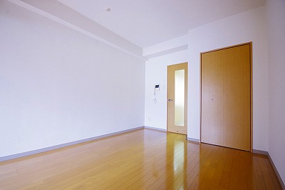 デザイナープリンセス３３ その他12