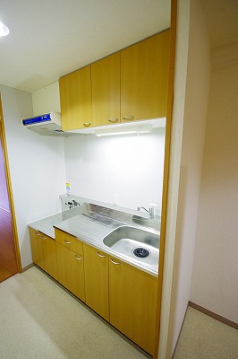 デザイナープリンセス３３ キッチン