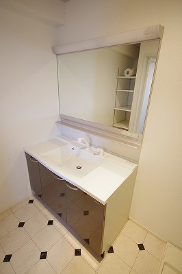 ＣＹＧＮＵＳ（シグナス） その他2