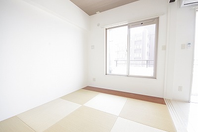 ＣＹＧＮＵＳ（シグナス） その他11