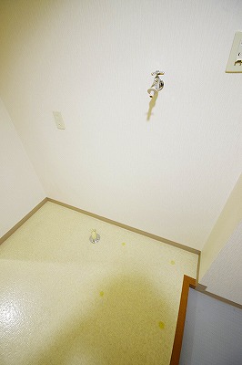 デザイナープリンセス３３ その他7