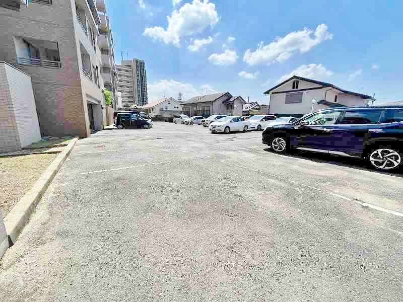 フリーリー守恒  その他外観4