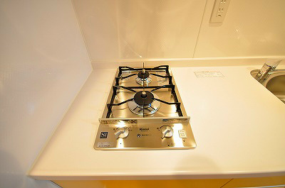 ＮＥＷ ＳＵＮ ＲＩＶＥＲ １５番館（ニューサンリバー１５番館） その他8