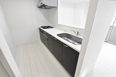 ラファエロ その他15