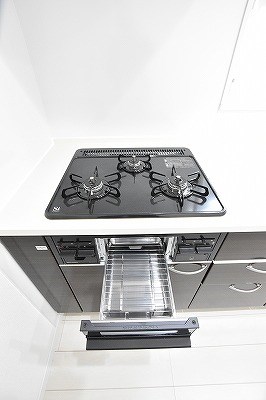 ラファエロ その他16