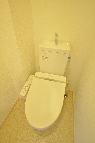 コンフォールパピヨン  その他2