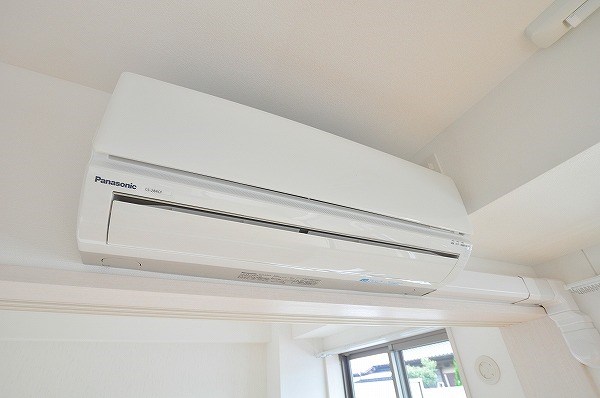 コンフォールパピヨン  その他5