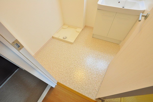 コンフォールパピヨン  その他11