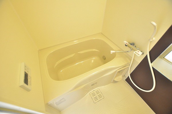 コンフォールパピヨン  その他13