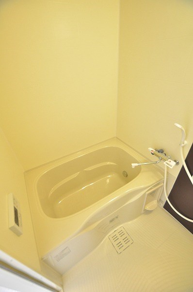 コンフォールパピヨン  その他14