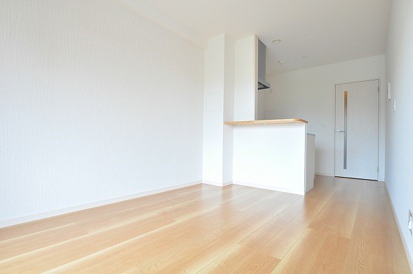 コンフォールパピヨン  その他21