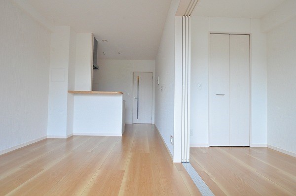 コンフォールパピヨン  その他30