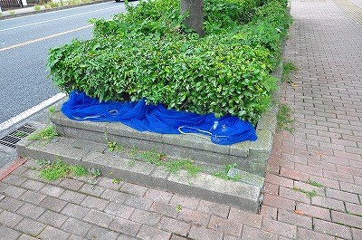 ベルメゾン その他外観3