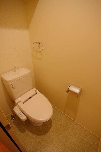 ＣＹＧＮＵＳ（シグナス）  その他2