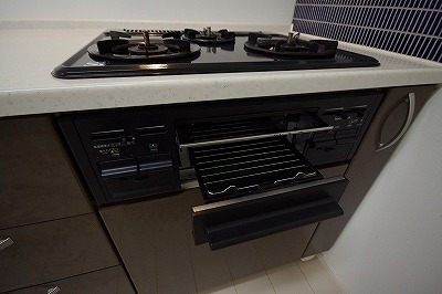 ＣＹＧＮＵＳ（シグナス） その他12