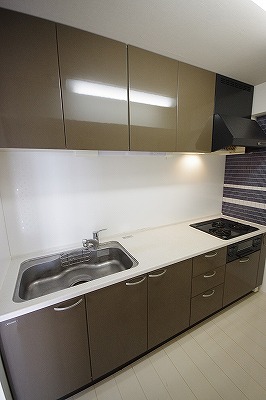 ＣＹＧＮＵＳ（シグナス） キッチン