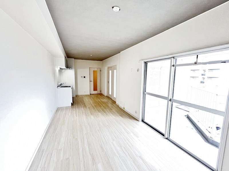 フェルト14 その他17