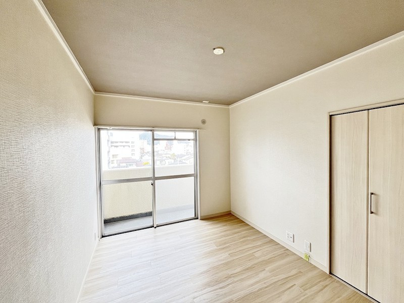 フェルト14 その他31