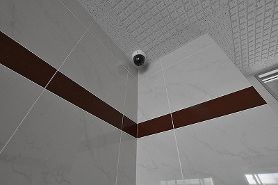 プリンス篠崎 その他27