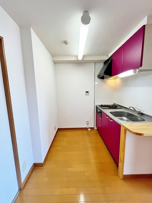 LUMINOUS　AI　清水（ルミナスアイ清水） その他23