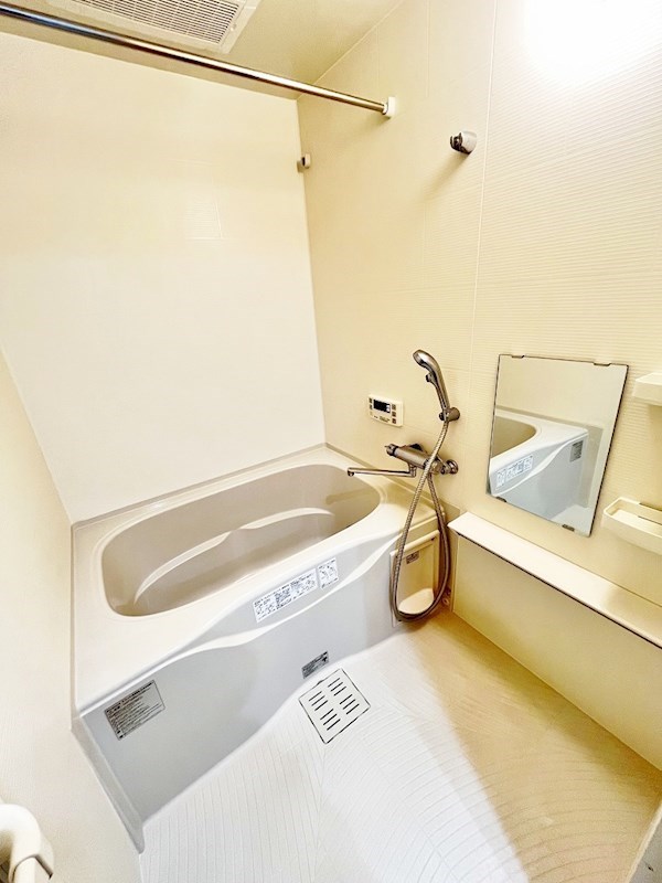 フェリシエ馬借  その他8