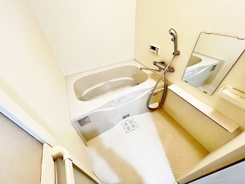 フェリシエ馬借  その他17