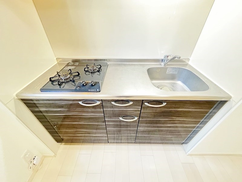 フェリシエ馬借 その他32