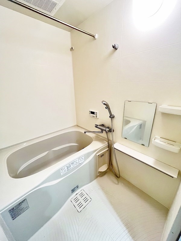 フェリシエ馬借  その他8