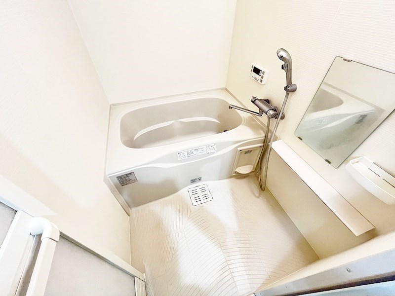 フェリシエ馬借  その他18