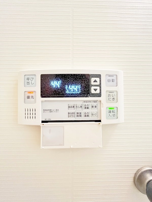 フェリシエ馬借  その他19