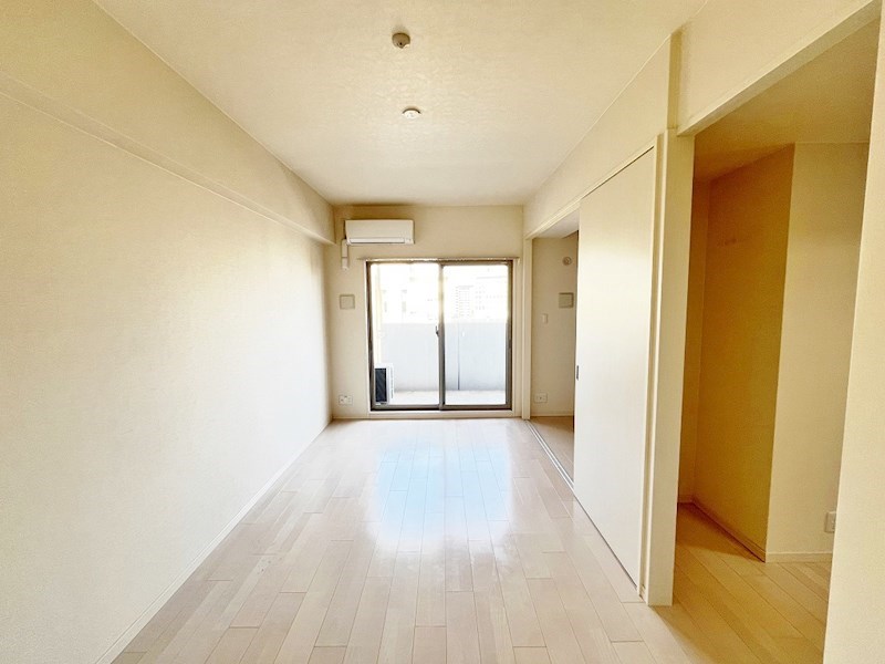 フェリシエ馬借  その他20