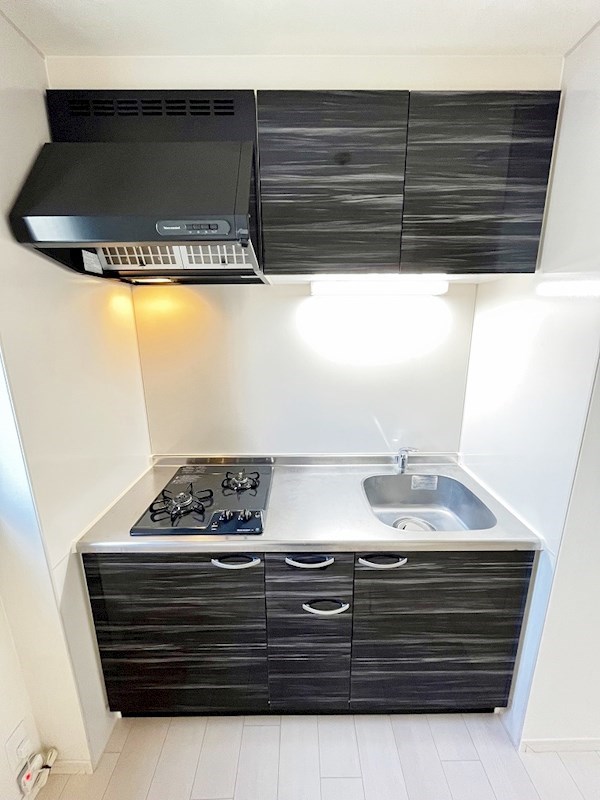 フェリシエ馬借  その他29