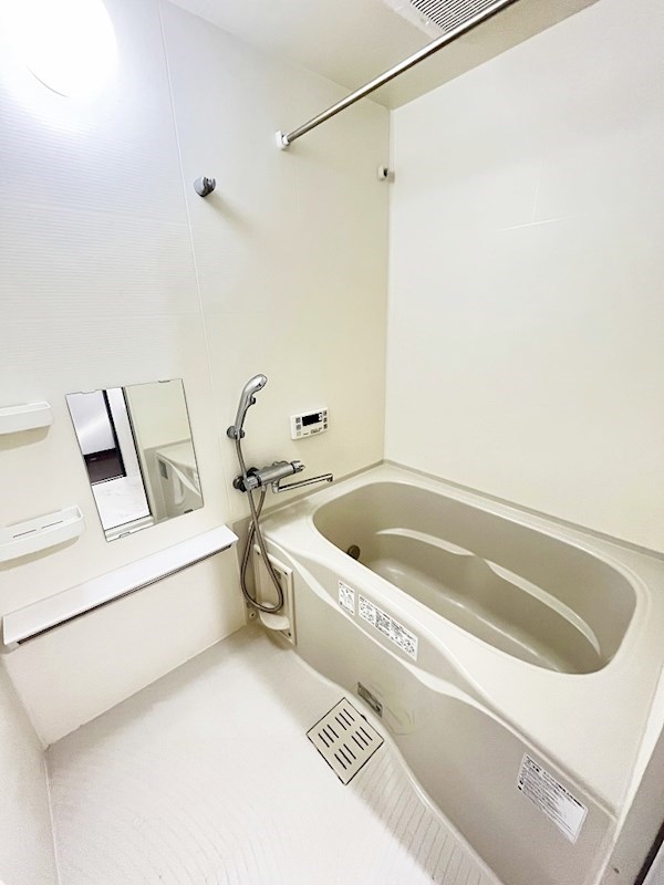 フェリシエ馬借 その他16