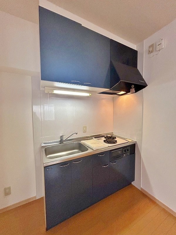 RUHIGER PLATZ（ルイジャープラッツ） その他11