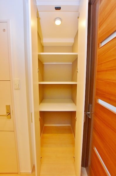 ギャラクシーヴィーラブライト その他20