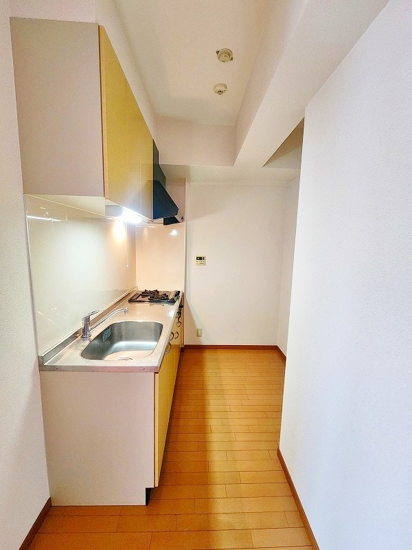 エスズイン南  その他33