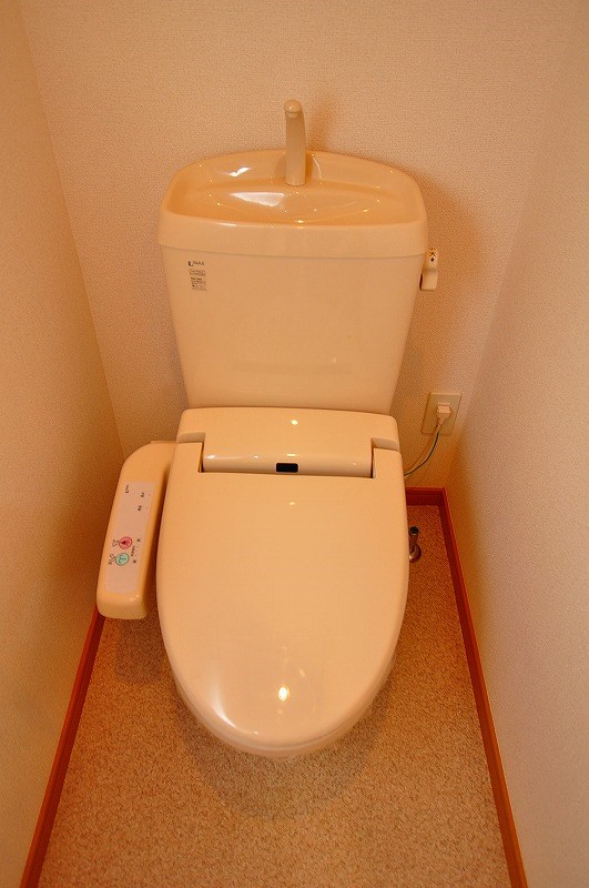 エヴァーグリーンＮ その他2