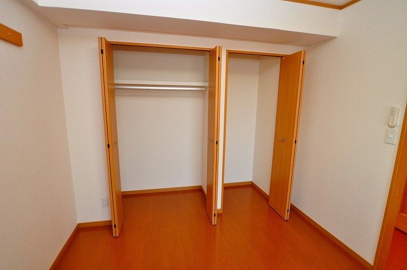 エヴァーグリーンＮ その他4