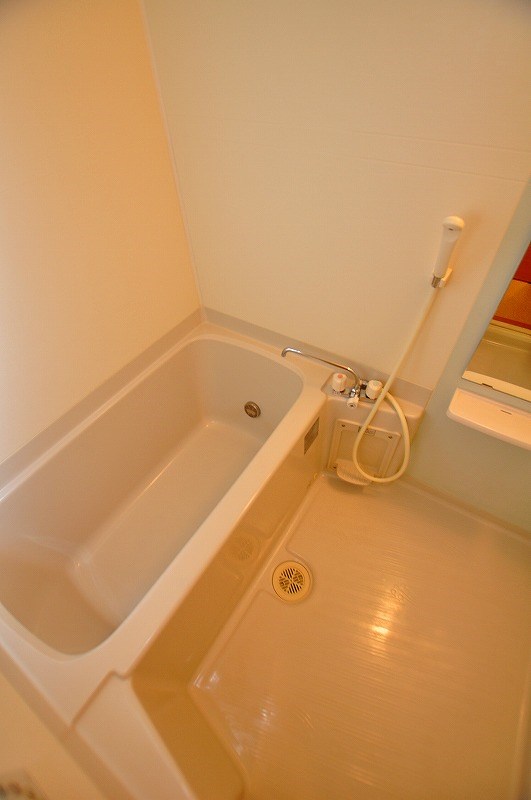 エヴァーグリーンＮ その他12