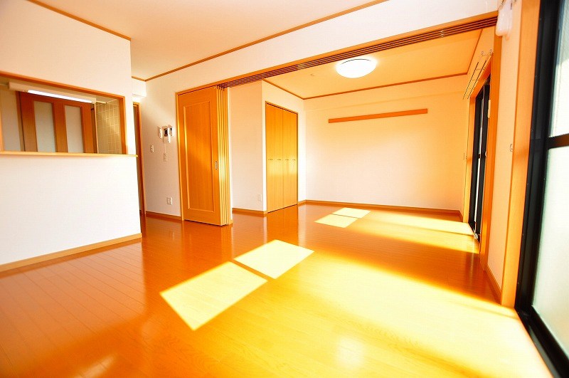 エヴァーグリーンＮ その他23