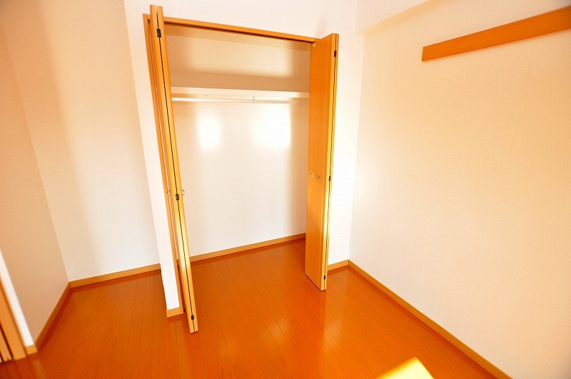 エヴァーグリーンＮ その他24